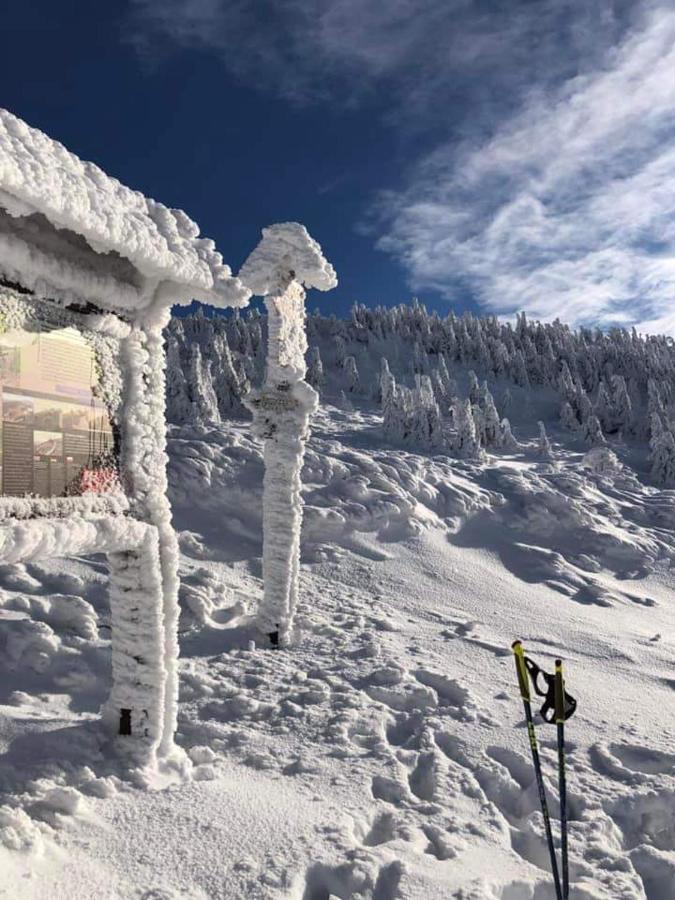 Apartmány Modus 2 Česká Ves Exterior foto